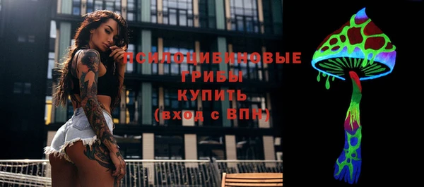 MDMA Premium VHQ Каменка