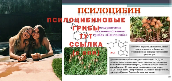 MDMA Premium VHQ Каменка