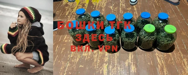 метадон Каменногорск