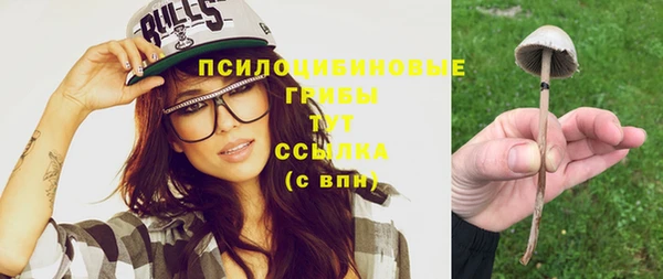 прущая мука Каменск-Шахтинский