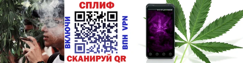 Бошки Шишки OG Kush  магазин    Кедровый 
